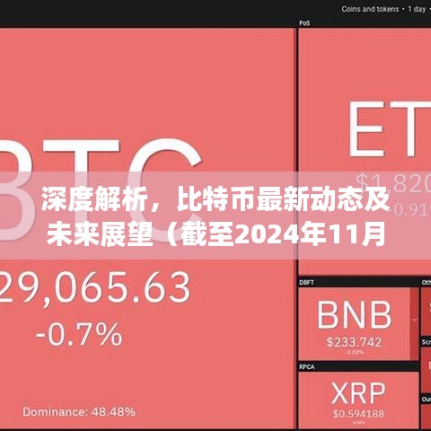 深度解析，比特币最新动态及未来展望（截至2024年11月14日）