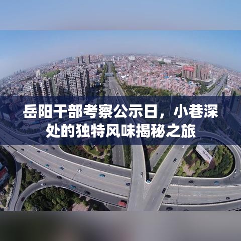 岳阳干部考察公示日，小巷深处的独特风味揭秘之旅
