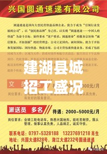 建湖县城招工盛况深度评测与介绍，历年11月14日最新招工情况概览