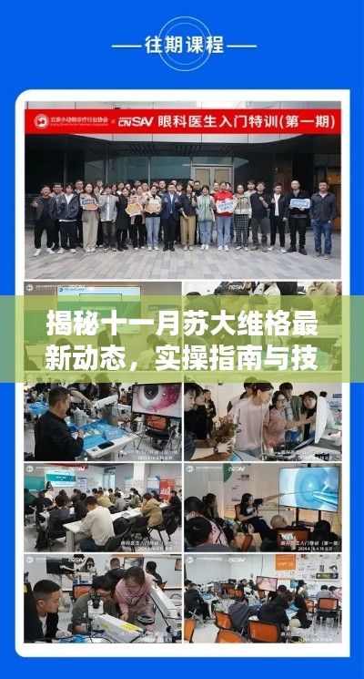 揭秘十一月苏大维格最新动态，实操指南与技能掌握之路