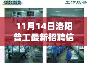 11月14日洛阳普工最新招聘信息及职场观察与个人立场