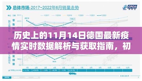 历史上的11月14日德国最新疫情实时数据解析与获取指南，初学者与进阶用户适用