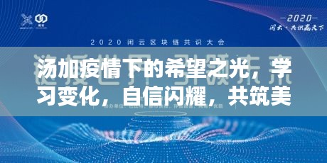 汤加疫情下的希望之光,学习变化,自信闪耀,共筑美好未来新篇章(11月最新疫情报道)