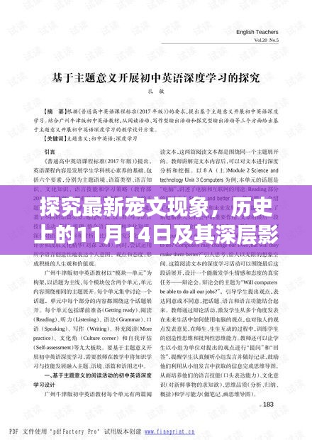 探究最新宠文现象，历史上的11月14日及其深层影响