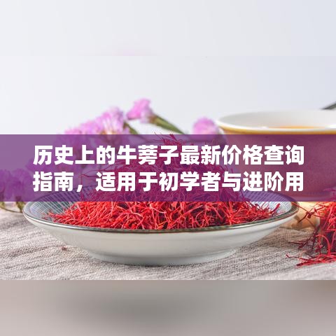 历史上的牛蒡子最新价格查询指南，适用于初学者与进阶用户