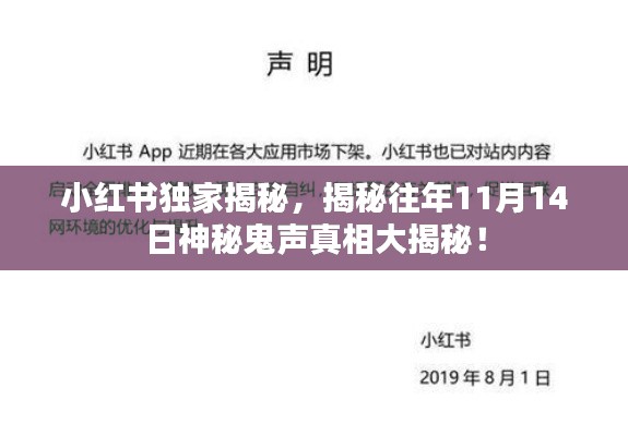 小红书独家揭秘，揭秘往年11月14日神秘鬼声真相大揭秘！