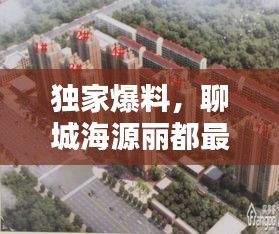 独家爆料，聊城海源丽都最新动态揭秘，11月14日惊艳呈现！