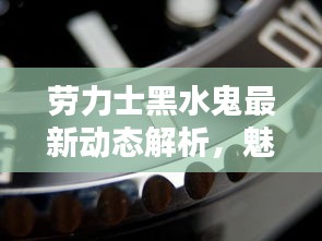 劳力士黑水鬼最新动态解析，魅力与挑战并存