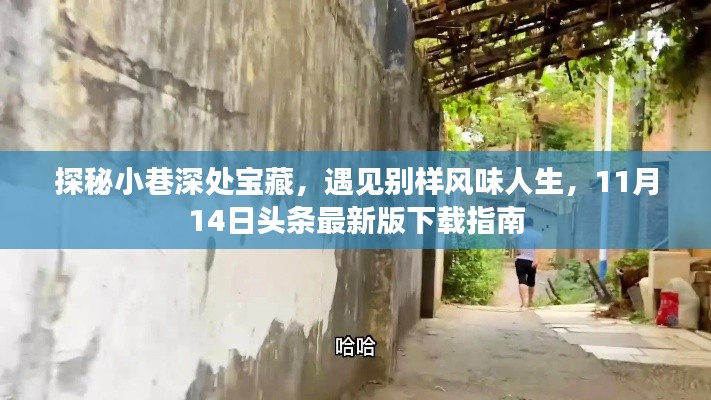 探秘小巷深处宝藏，遇见别样风味人生，11月14日头条最新版下载指南