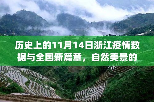 历史上的11月14日浙江疫情数据与全国新篇章，自然美景的心灵之旅回顾报告