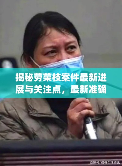 揭秘劳荣枝案件最新进展与关注点，最新准确消息汇总（11月14日）