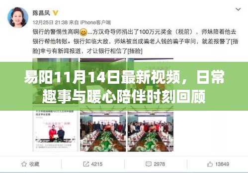 易阳11月14日最新视频，日常趣事与暖心陪伴时刻回顾