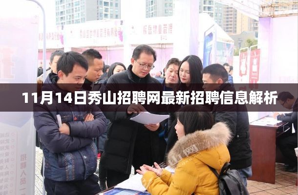 11月14日秀山招聘网最新招聘信息解析