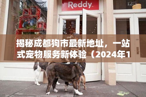 揭秘成都狗市最新地址，一站式宠物服务新体验（2024年11月14日）
