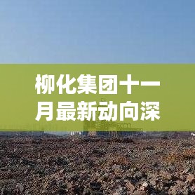 柳化集团十一月最新动向深度解析