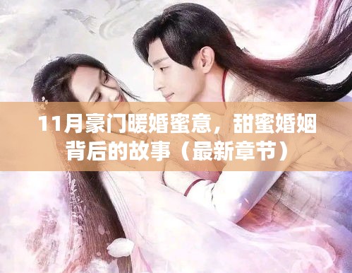 11月豪门暖婚蜜意，甜蜜婚姻背后的故事（最新章节）
