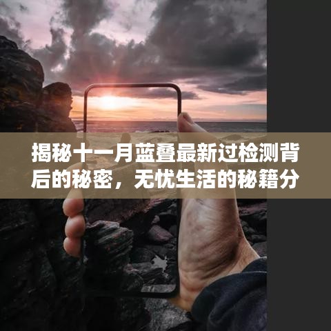 揭秘十一月蓝叠最新过检测背后的秘密，无忧生活的秘籍分享在小红书上
