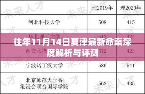 往年11月14日夏津最新命案深度解析与评测