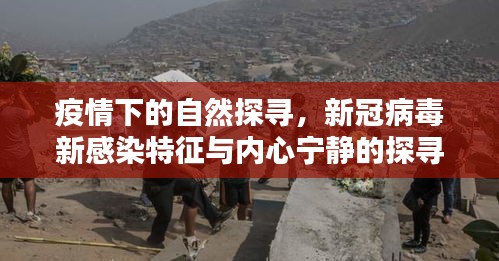 疫情下的自然探寻，新冠病毒新感染特征与内心宁静的探寻（2024年11月）