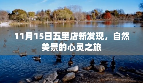 11月15日五里店新发现，自然美景的心灵之旅