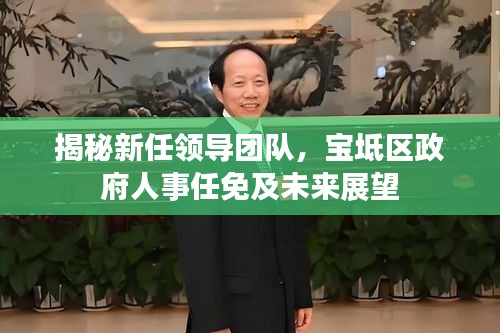 揭秘新任领导团队，宝坻区政府人事任免及未来展望