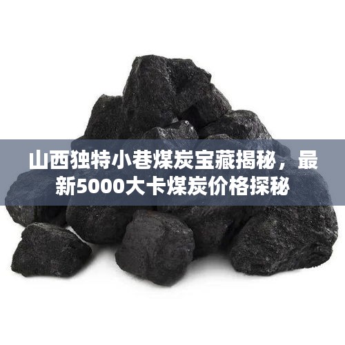 山西独特小巷煤炭宝藏揭秘，最新5000大卡煤炭价格探秘