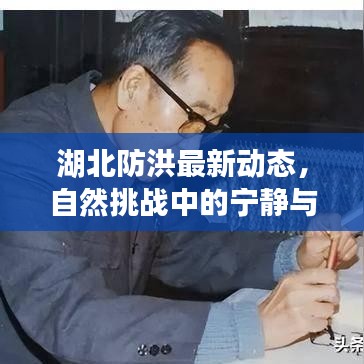 湖北防洪最新动态，自然挑战中的宁静与微笑寻找记