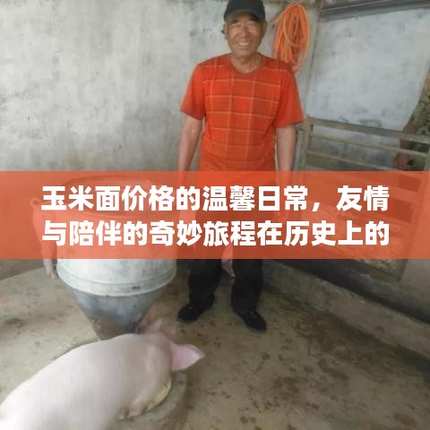 玉米面价格的温馨日常,友情与陪伴的奇妙旅程在历史上的今天——最新行情回顾