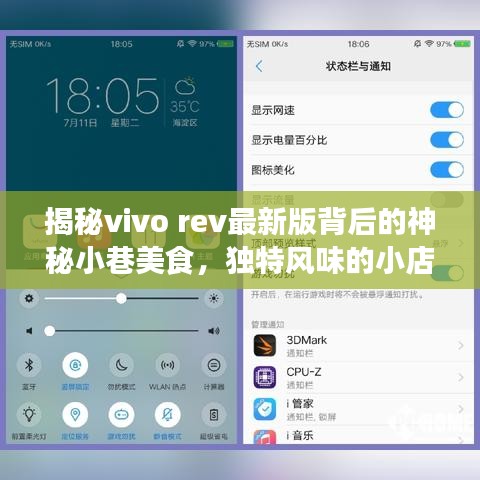 揭秘vivo rev最新版背后的神秘小巷美食，独特风味的小店探索