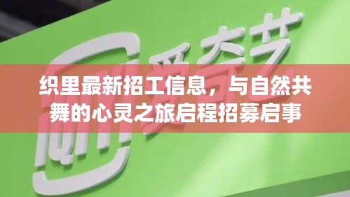 织里最新招工信息，与自然共舞的心灵之旅启程招募启事