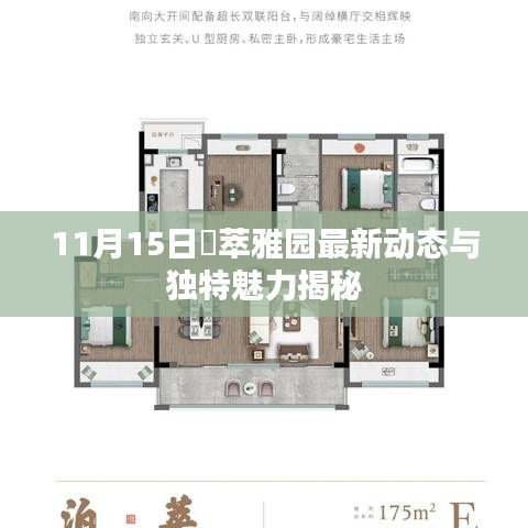 11月15日璟萃雅园最新动态与独特魅力揭秘