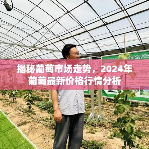 飞天遁地 第4页