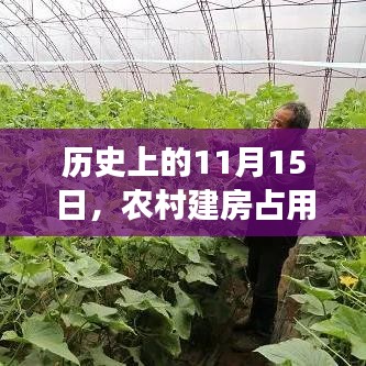 历史上的11月15日，农村建房占用耕地的新动态与观察思考