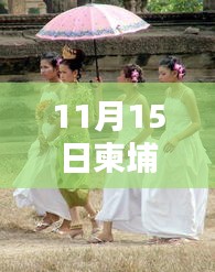 11月15日柬埔寨新娘最新消息，跨文化婚恋新动向揭秘