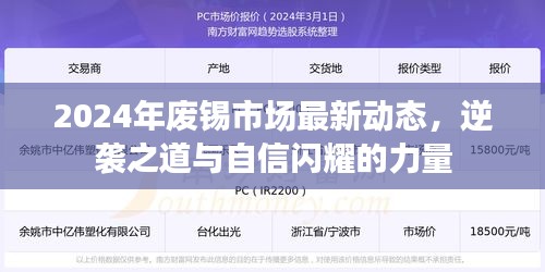 2024年废锡市场最新动态，逆袭之道与自信闪耀的力量