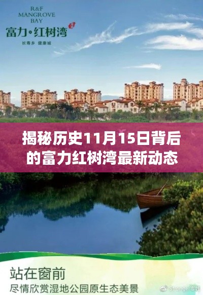 揭秘历史11月15日背后的富力红树湾最新动态重磅消息！