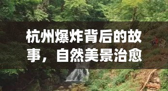 明目张胆 第4页