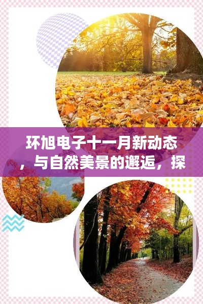 环旭电子十一月新动态,与自然美景的邂逅,探寻内心宁静之旅