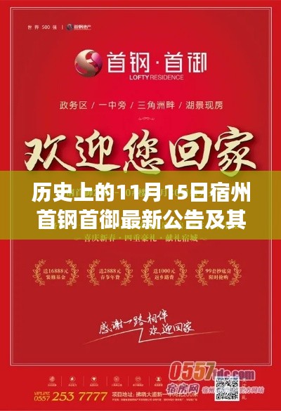 历史上的11月15日宿州首钢首御最新公告及其解读与操作指南速递