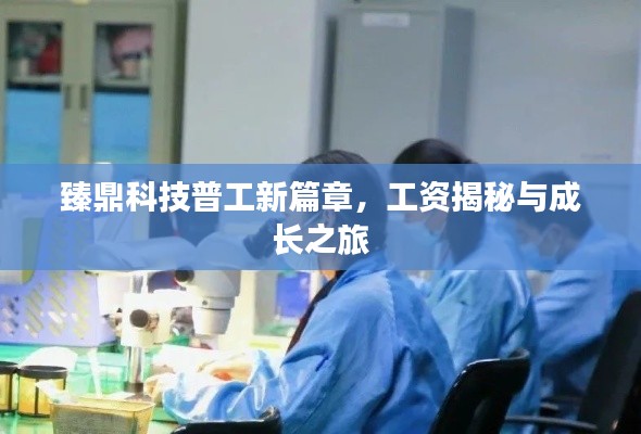 臻鼎科技普工新篇章，工资揭秘与成长之旅
