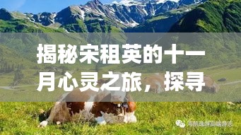 揭秘宋租英的十一月心灵之旅，探寻自然美景的旅程最新消息