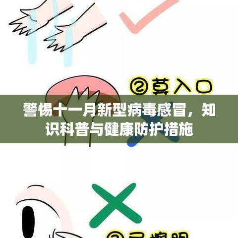 警惕十一月新型病毒感冒，知识科普与健康防护措施