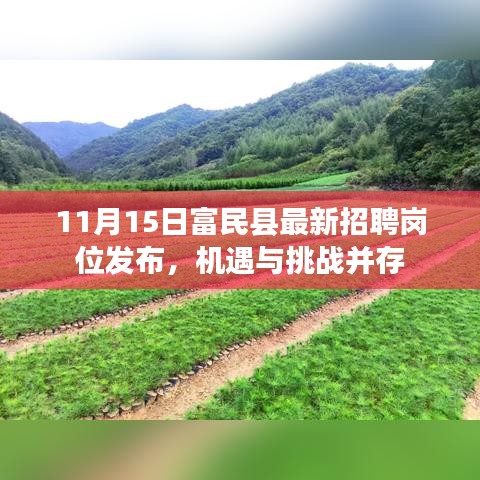 11月15日富民县最新招聘岗位发布，机遇与挑战并存