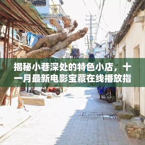 揭秘小巷深处的特色小店，十一月最新电影宝藏在线播放指南