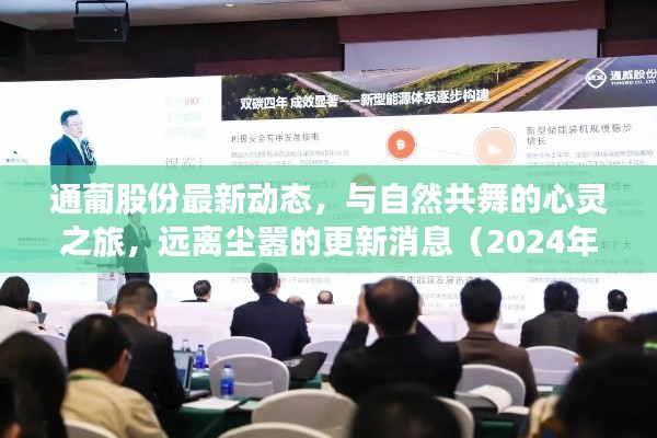 通葡股份最新动态，与自然共舞的心灵之旅，远离尘嚣的更新消息（2024年11月15日）