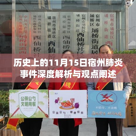 历史上的11月15日宿州肺炎事件深度解析与观点阐述