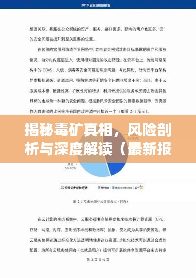 揭秘毒矿真相，风险剖析与深度解读（最新报告）