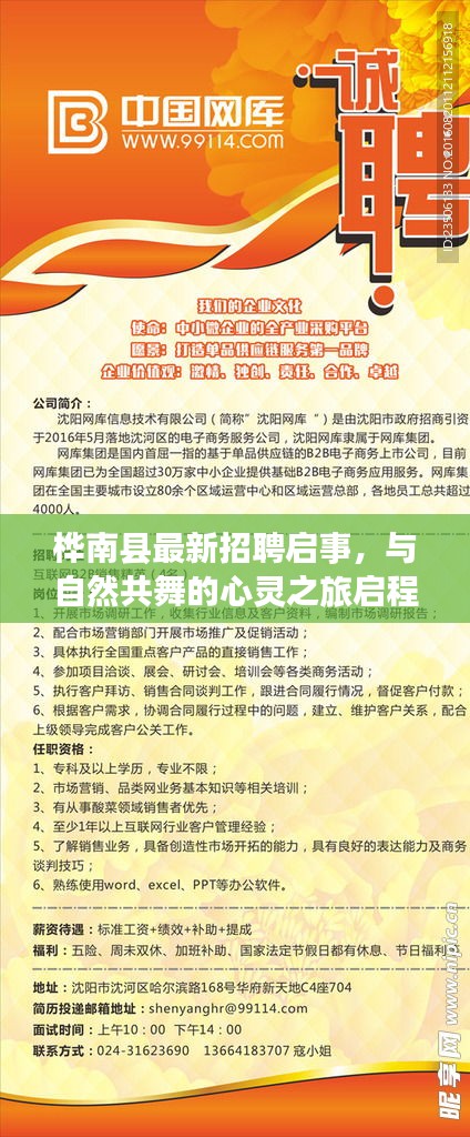 桦南县最新招聘启事，与自然共舞的心灵之旅启程招募（2024年11月）