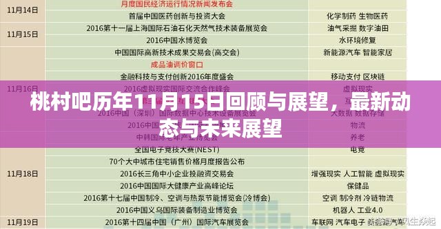 桃村吧历年11月15日回顾与展望，最新动态与未来展望