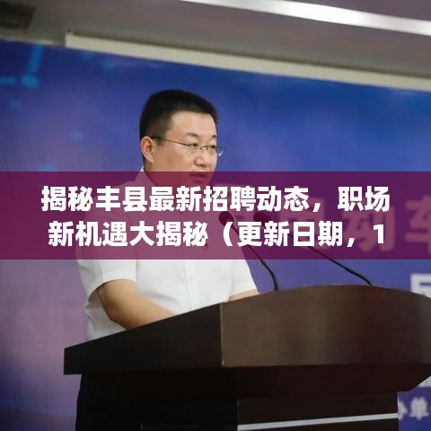 揭秘丰县最新招聘动态，职场新机遇大揭秘（更新日期，11月15日）